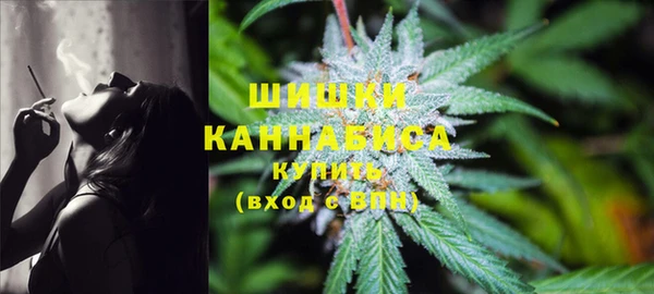 гидра Абаза
