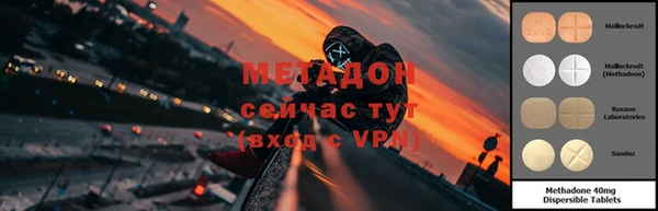 гидра Абаза