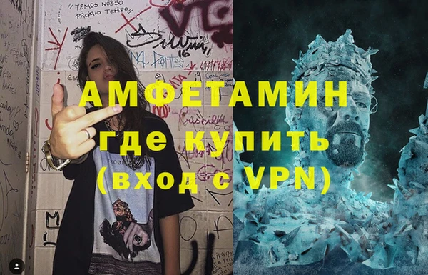 гидра Абаза